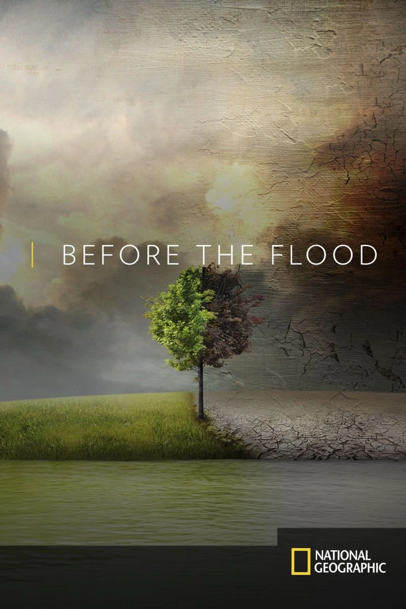 Poster van Before the Flood