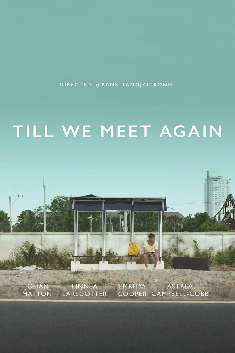 Affiche de Till We Meet Again