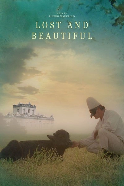 Poster Lost and Beautiful