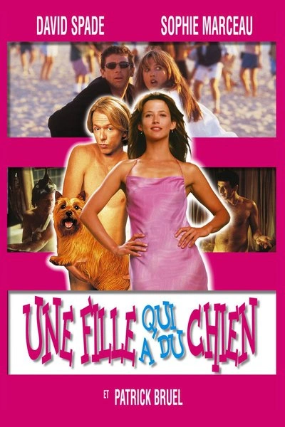 Affiche Lost & Found