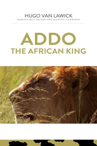 Affiche Addo, The African King