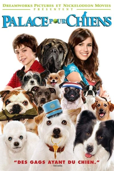 Poster Palace pour chiens