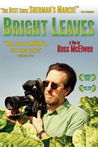 Poster Bright Leaves
