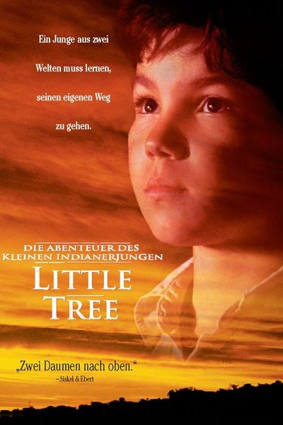 Poster Education of Little Tree