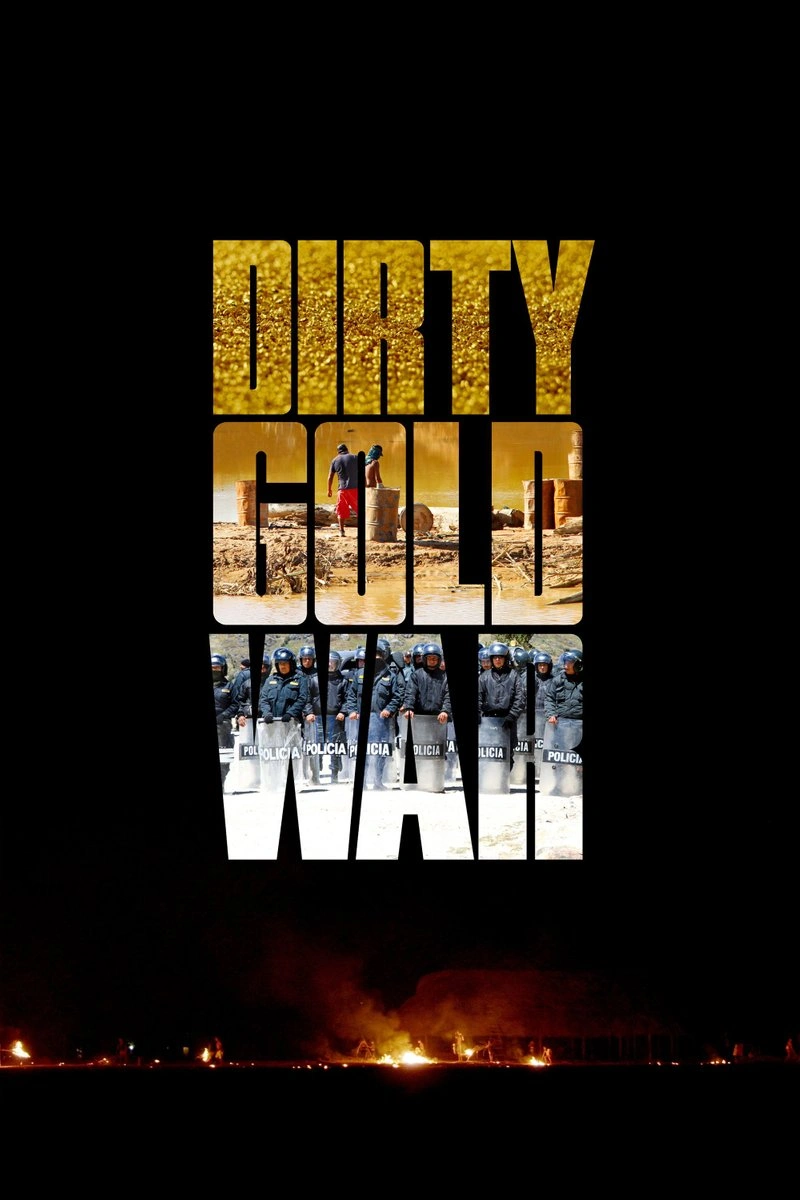 Affiche de Dirty Gold War