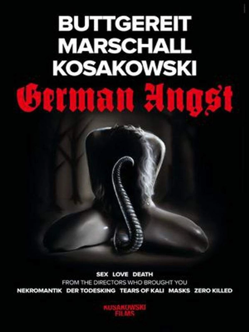 Affiche de German Angst