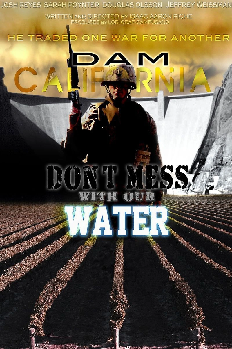 Affiche de Dam California