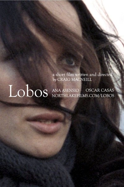 Affiche Wolves - Lobos