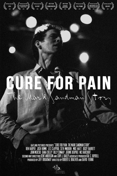Poster Cure for Pain