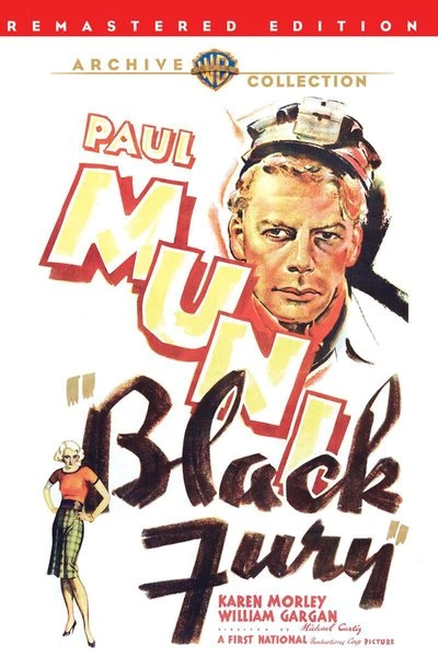 Affiche Black Fury