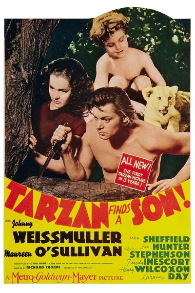 Affiche Tarzan Finds a Son
