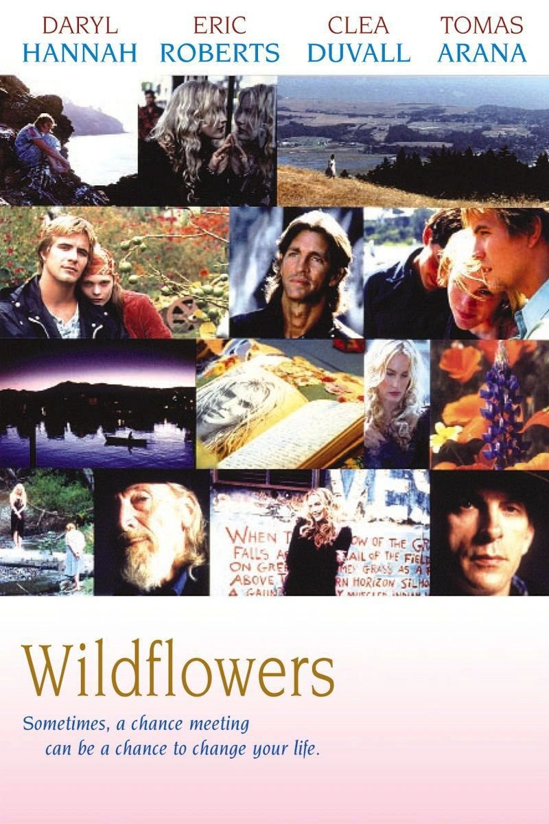 Affiche de Wildflowers