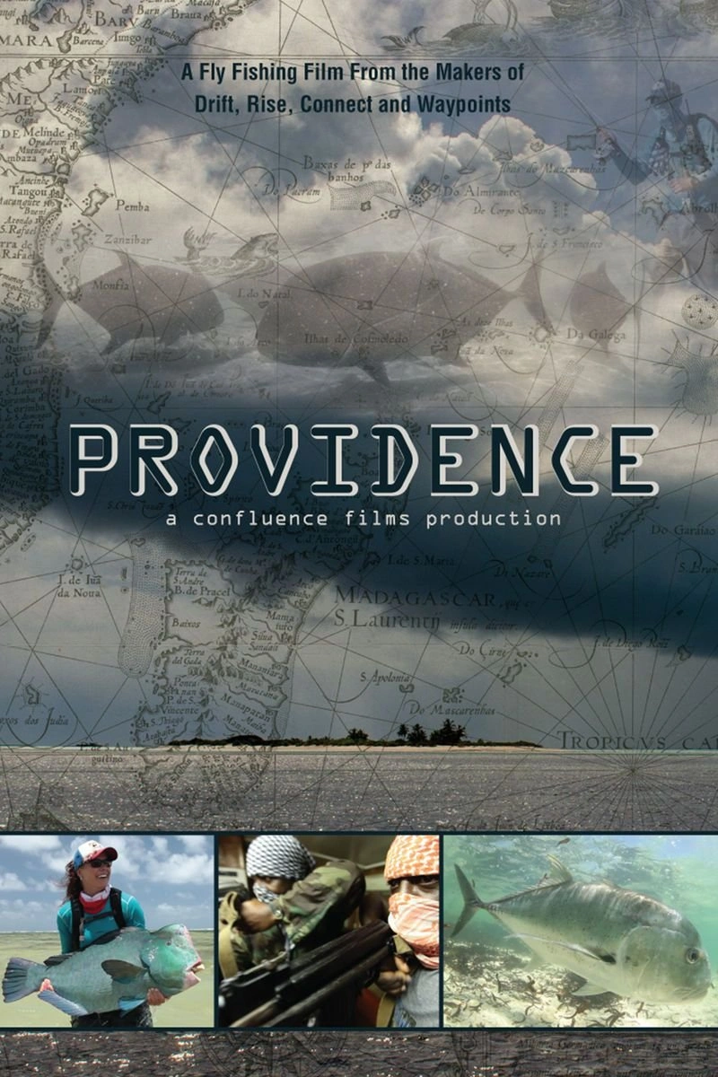 Poster van Providence