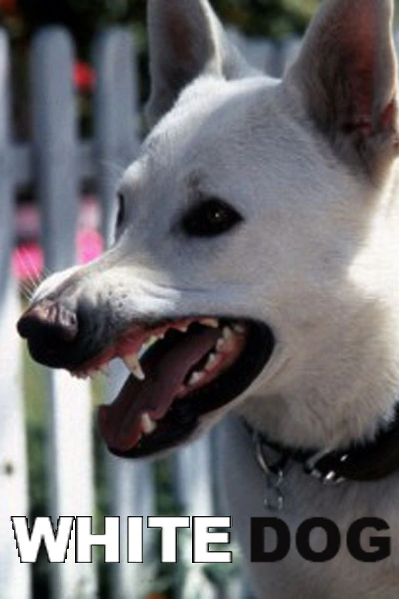 Poster van White Dog