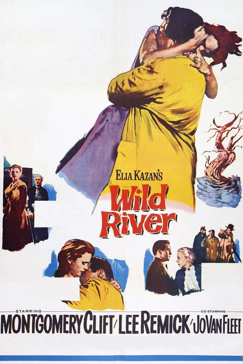 Poster van Wild River