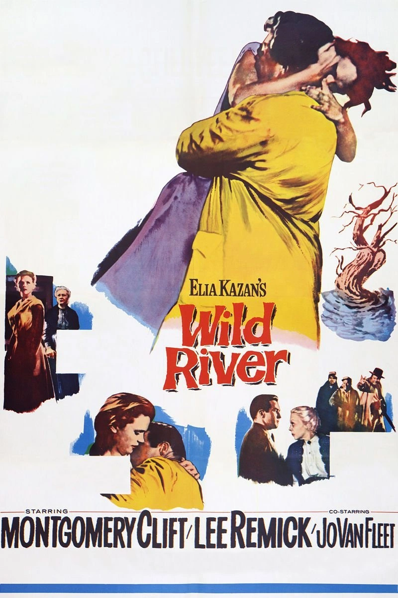 Affiche de Le Fleuve Sauvage