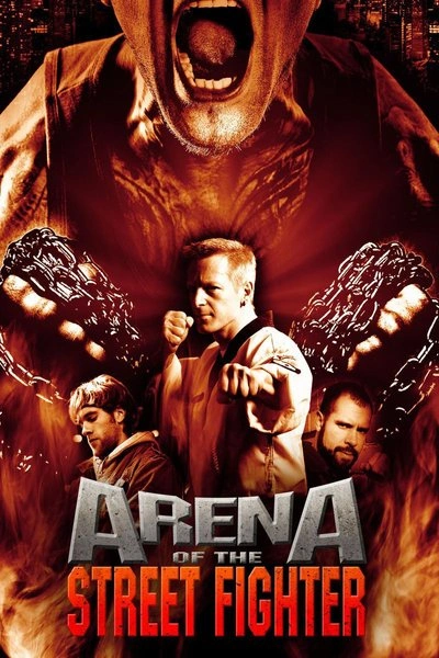 Affiche Arena of the Street Fighter