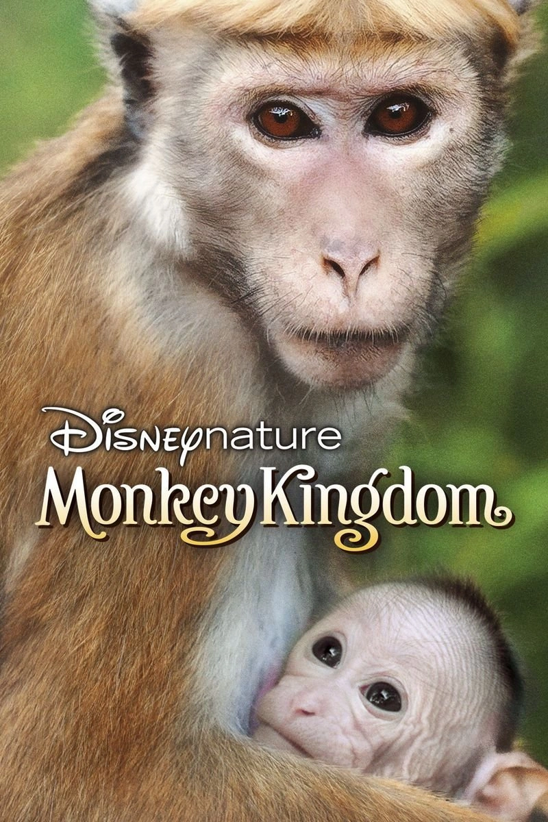 Affiche de Disneynature: Au royaume des singes
