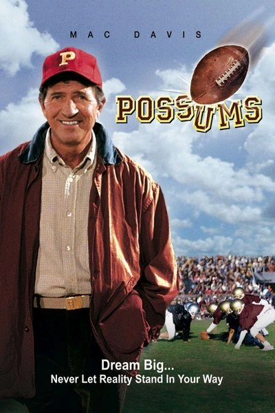 Affiche Possums