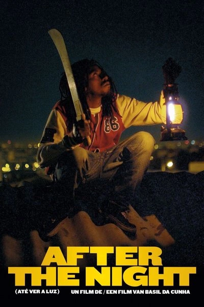 Poster After the Night