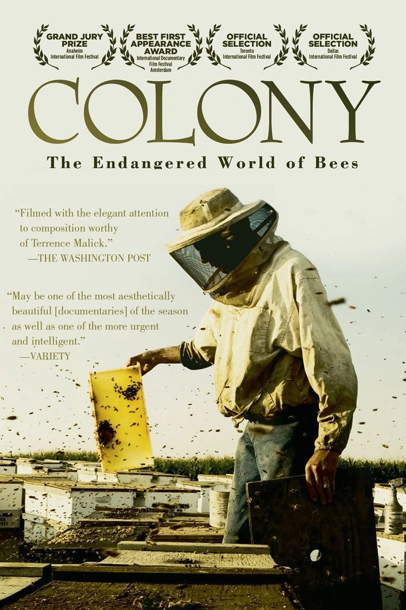 Poster van Colony