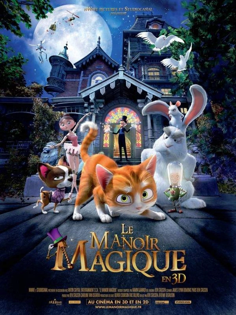 Affiche de The House of Magic