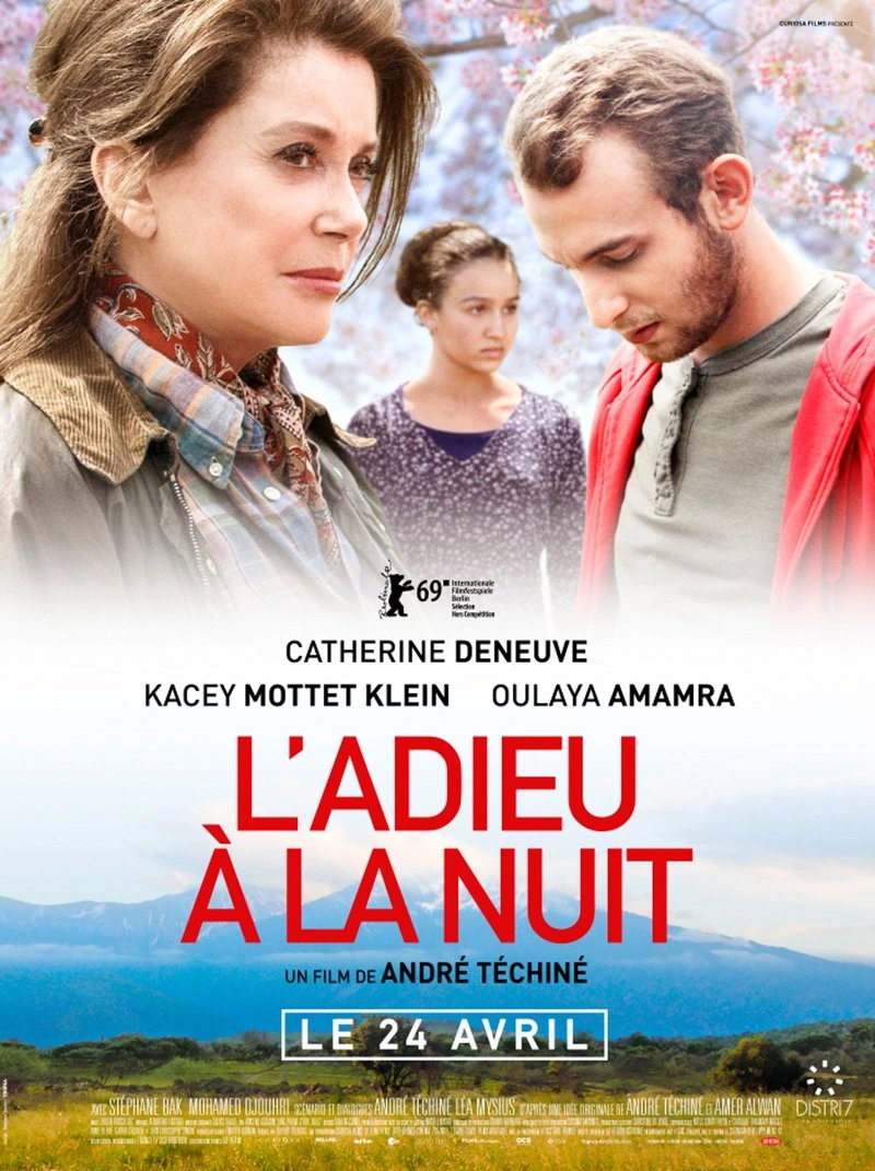 Poster van L'adieu à la nuit