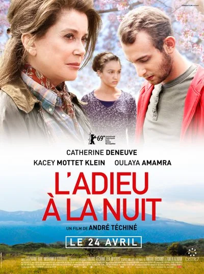 Affiche L'ADIEU A LA NUIT