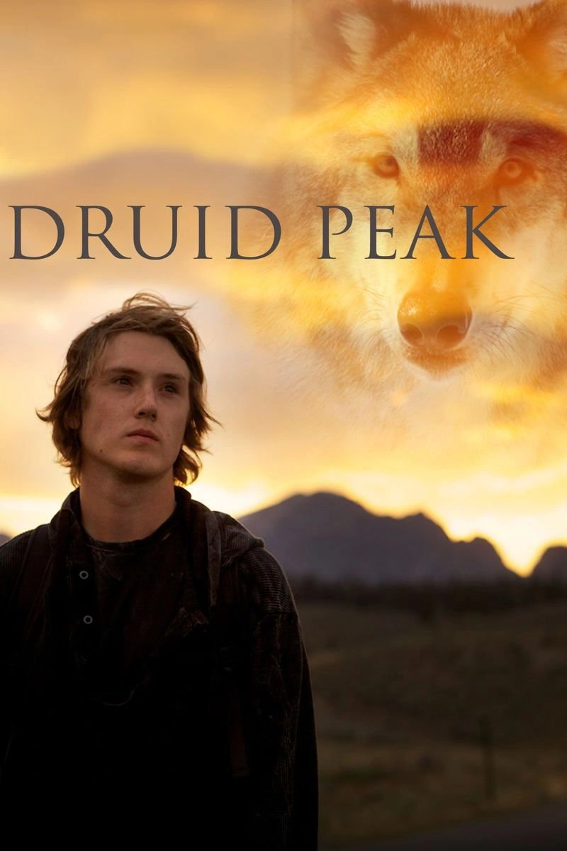 Affiche de Druid Peak