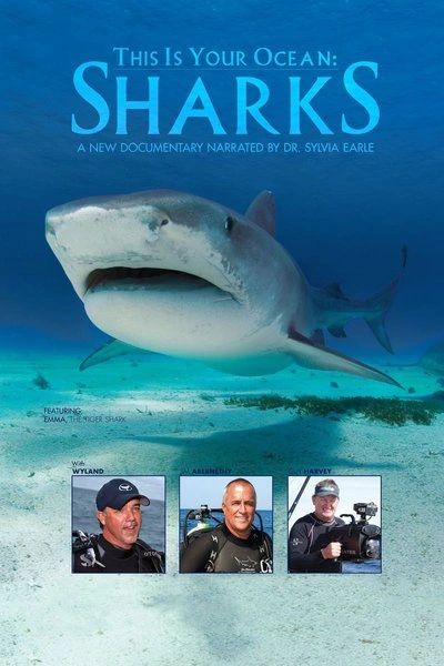 Affiche This Is Your Ocean: Sharks