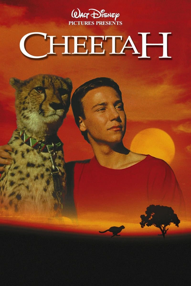 Poster van Cheetah