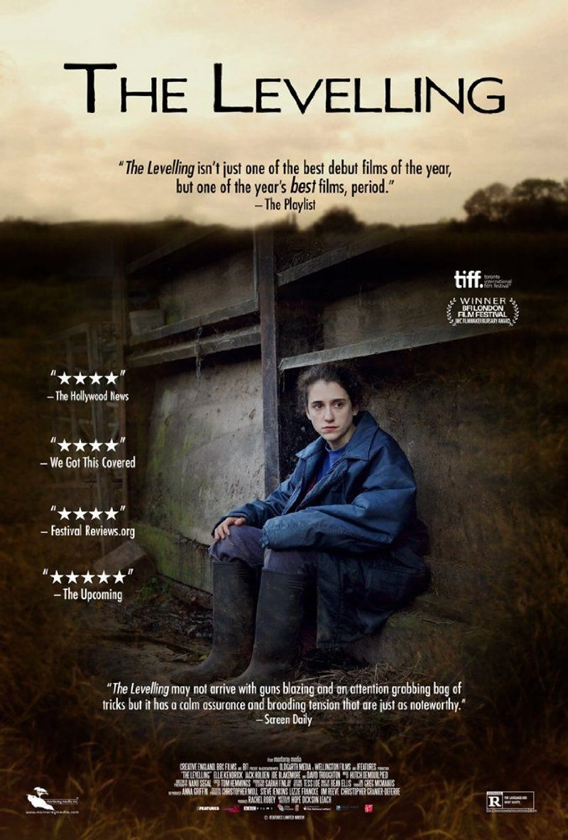 Poster van The Levelling