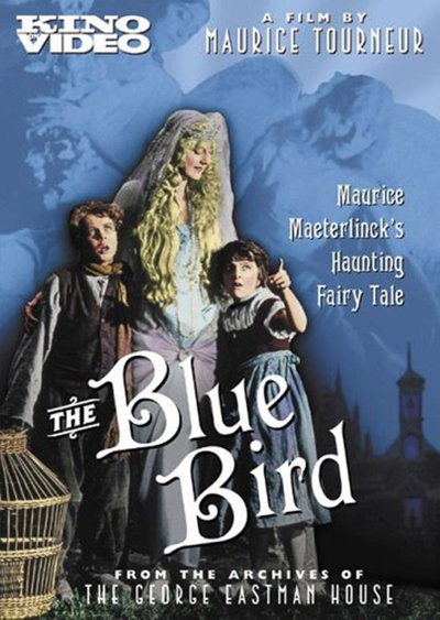 Affiche The Blue Bird