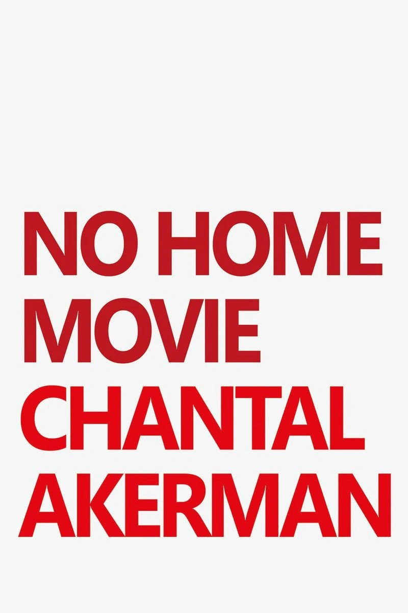 Poster van No Home Movie