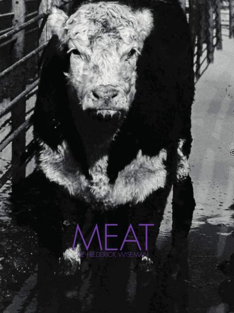 Affiche de Meat
