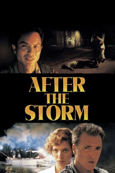 Poster After the Storm