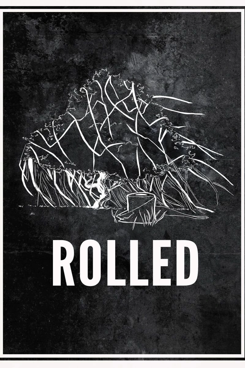 Affiche de Rolled