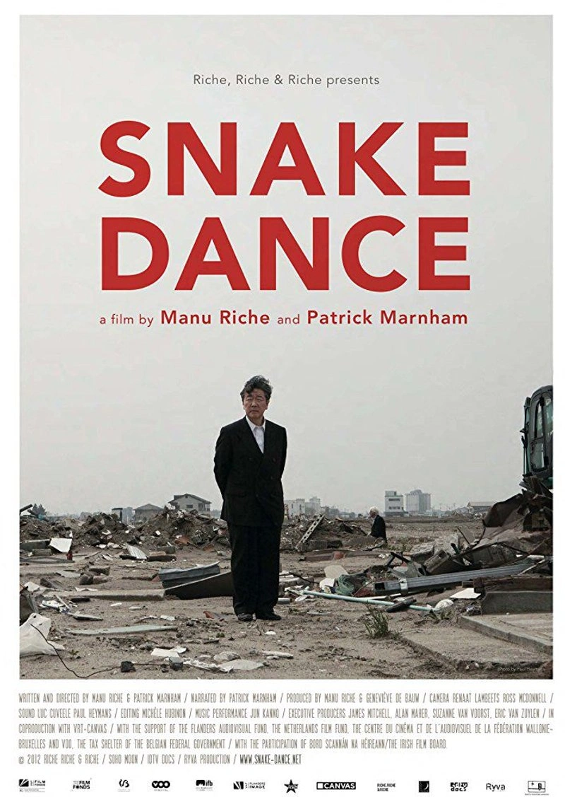 Affiche de Snake Dance