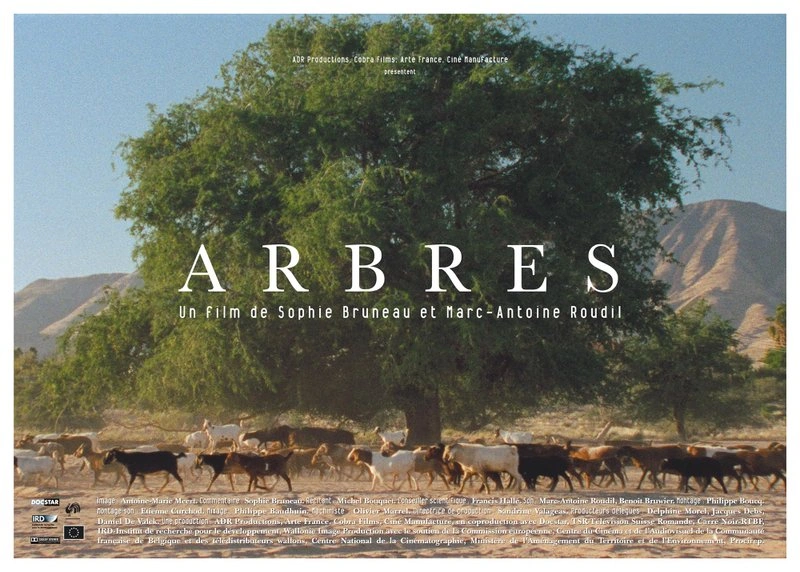 Poster van Arbres