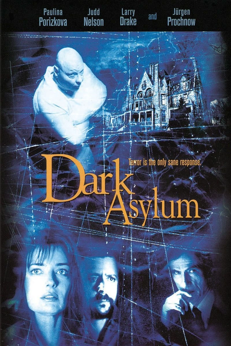 Affiche de Dark Asylum