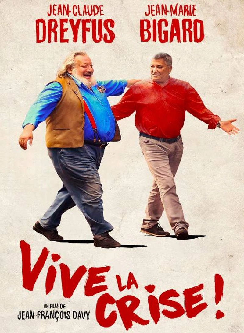 Affiche de Vive la crise !