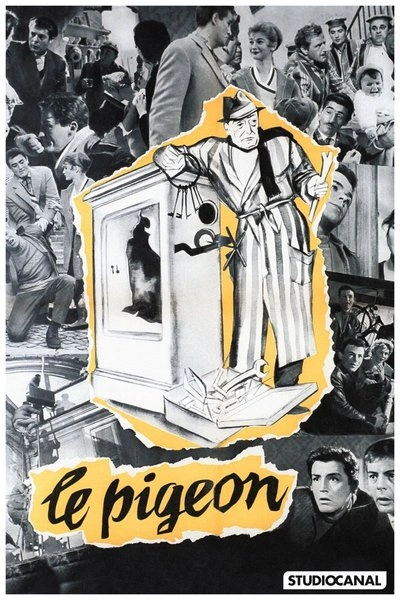 Affiche Le pigeon