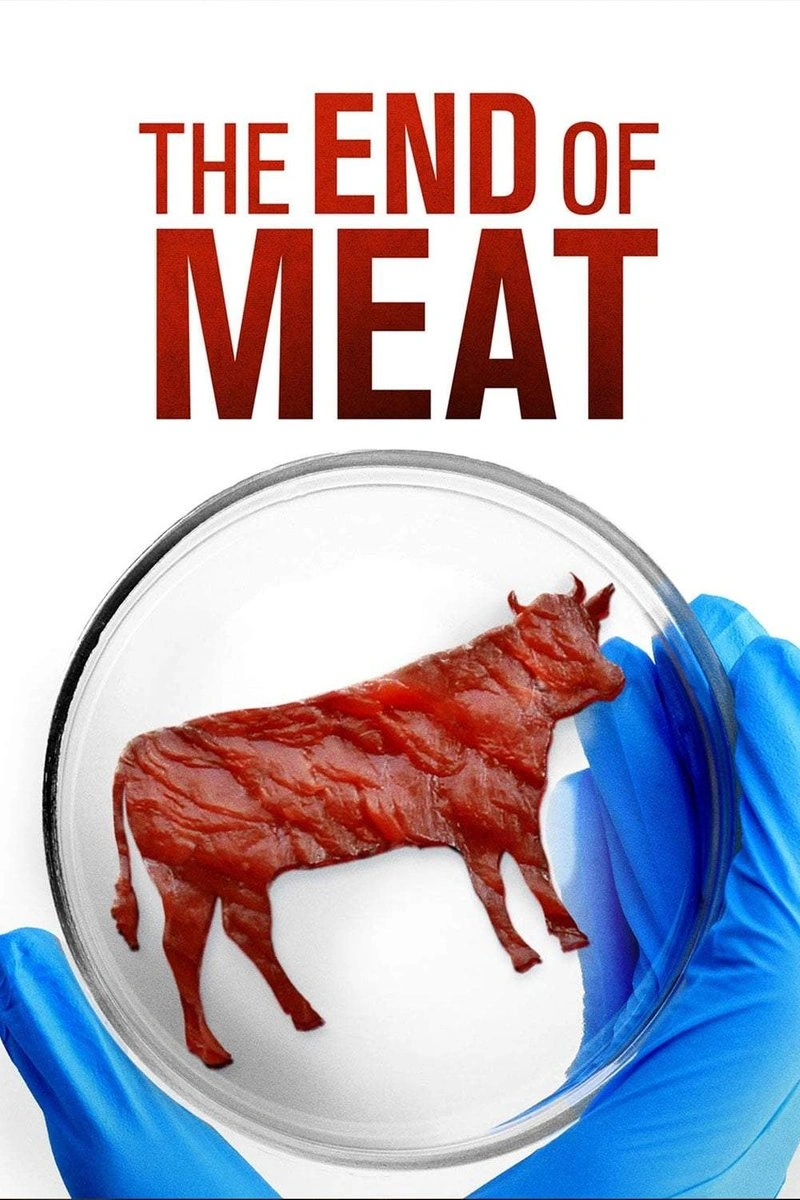 Poster van The End Of Meat