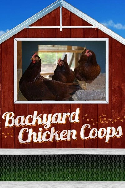 Affiche Backyard Chicken Coops