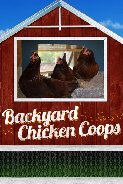 Poster Backyard Chicken Coops
