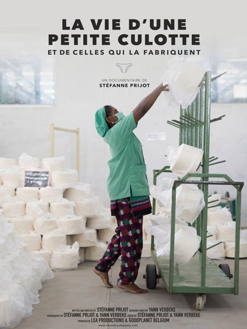 Affiche de La Vie d'une Petite Culotte..