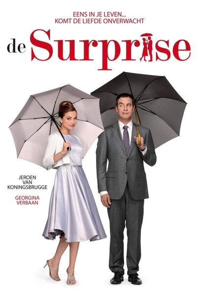Affiche The Surprise