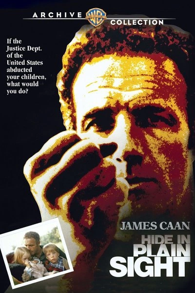 Poster Hide In Plain Sight