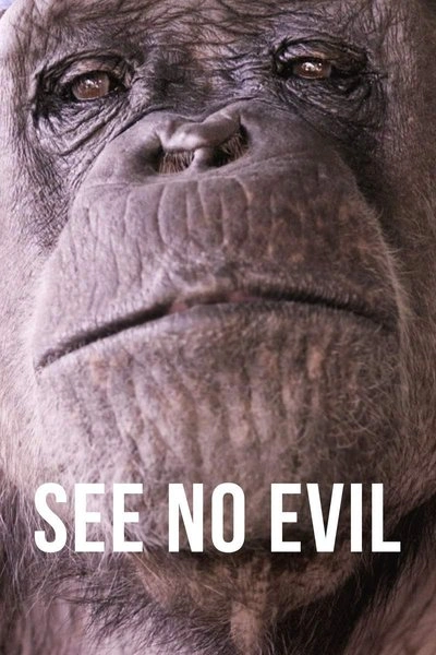 Poster See No Evil