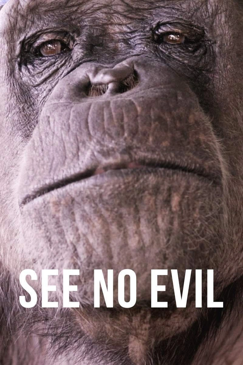 Poster van See No Evil